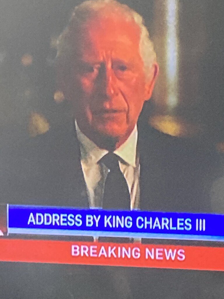 King #1:  Charles III by spanishliz