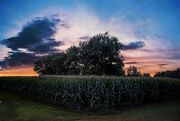 30th Aug 2022 - Sunset On The Farm