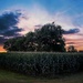 Sunset On The Farm by randy23