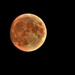 September Moon by lynnz