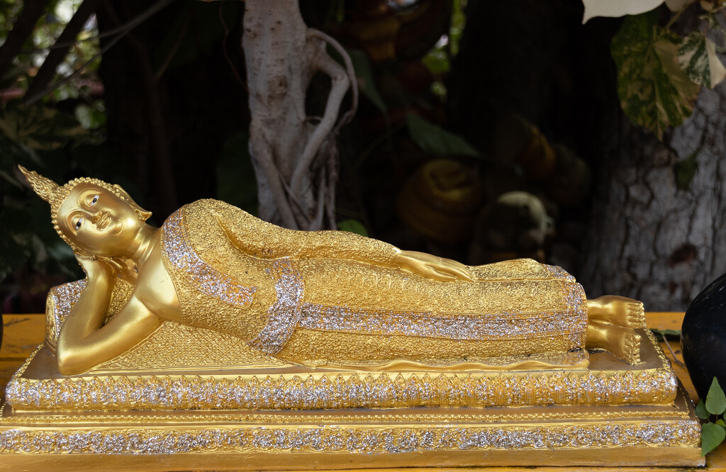 Reclining Buddha by lumpiniman
