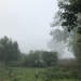 Misty Morning by arkensiel