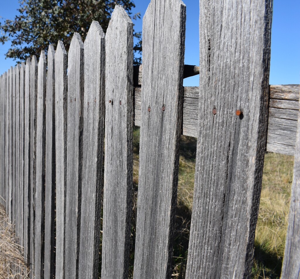 The Old Fence by galactica