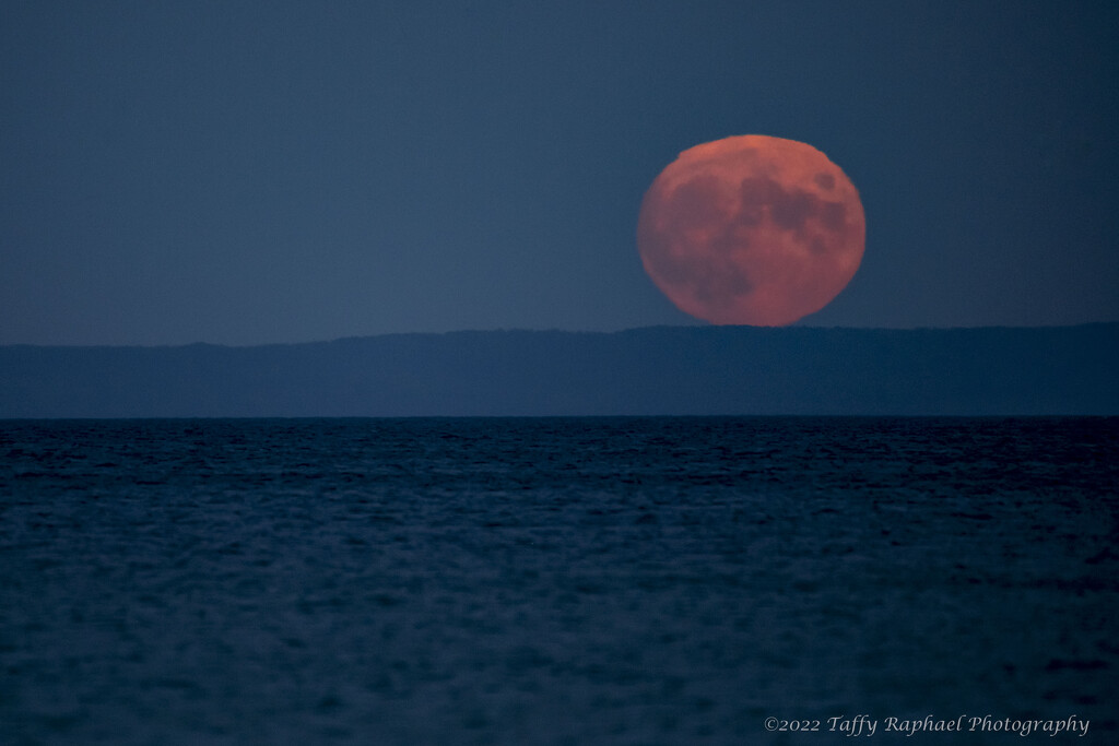 Moon Rises over Beaver Island by taffy