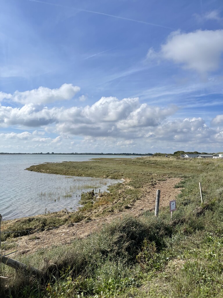 Pagham Harbour by bill_gk