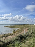 11th Sep 2022 - Pagham Harbour