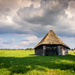 Dutch countryside by djepie