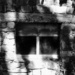 Abandoned Cottage - detail view. by vignouse