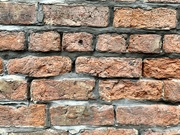 10th Sep 2022 - Old Brick Wall