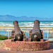 Canons in Muizenberg by ludwigsdiana