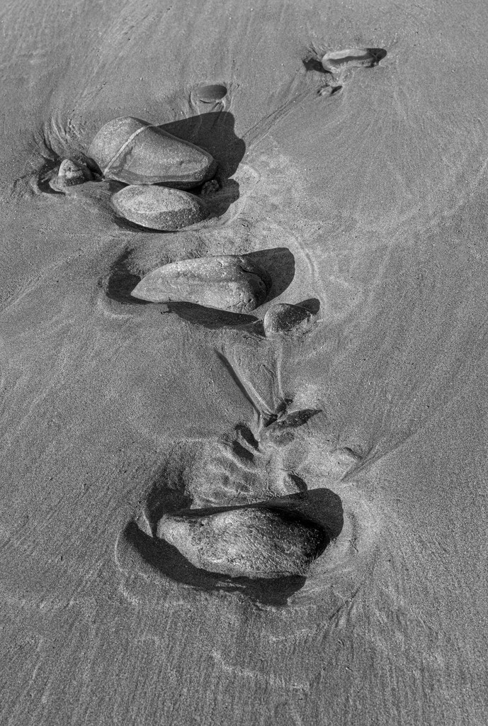 Beach composition by dulciknit