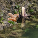 Starfish Tube Feet Clinging  by jgpittenger