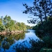 Coquet River Warkworth by nigelrogers