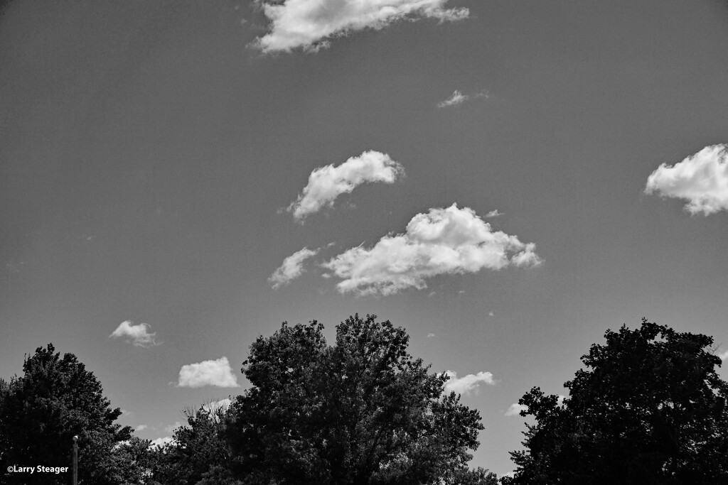 Summer sky in Black and White by larrysphotos