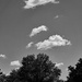 Summer sky in Black and White by larrysphotos