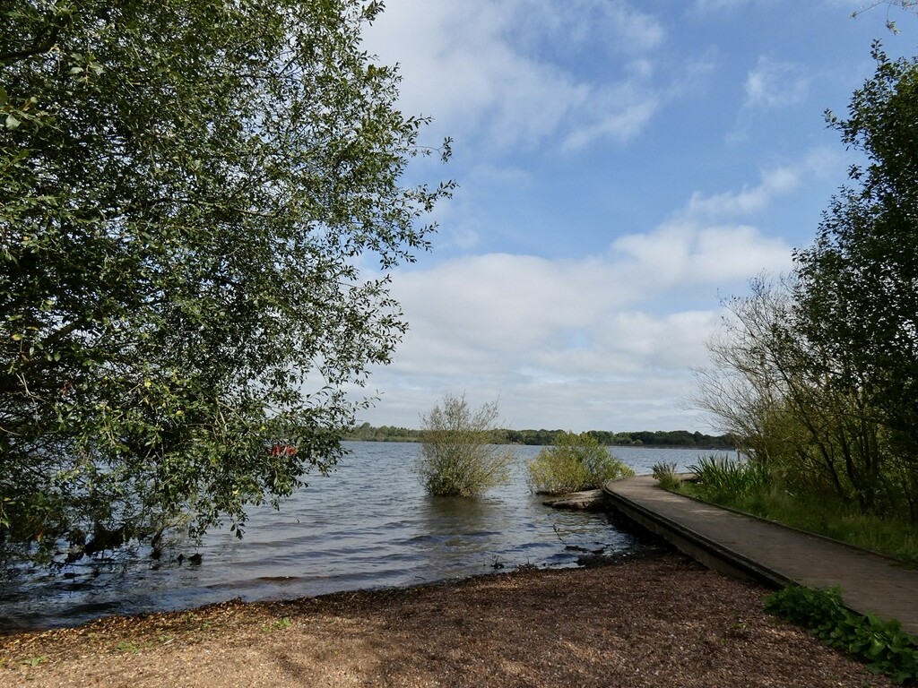 Chasewater by orchid99