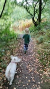 6th Sep 2022 - Whizzing along the path