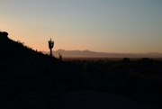 14th Sep 2022 - Sonoran sunrise