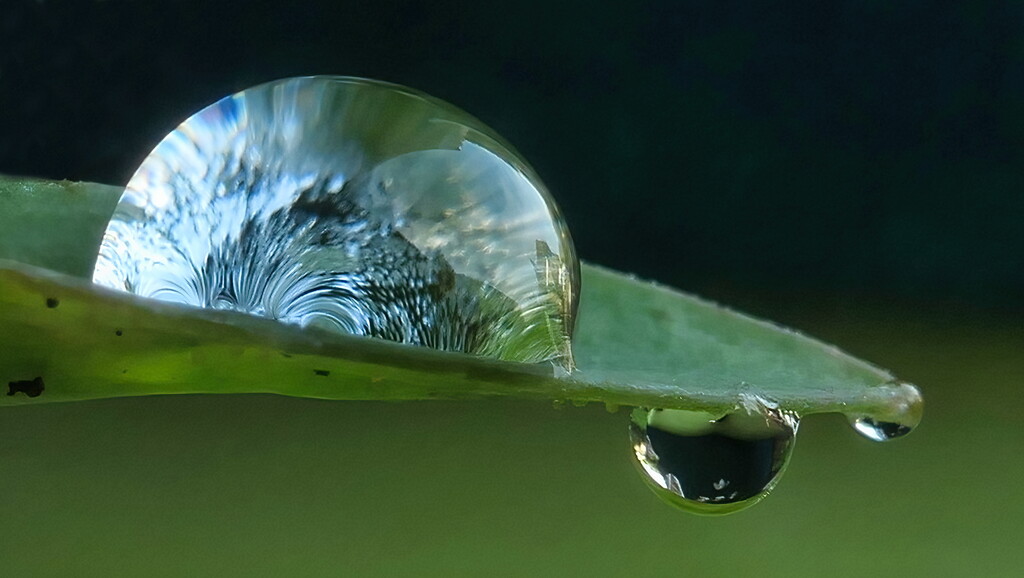 Droplets by gaf005