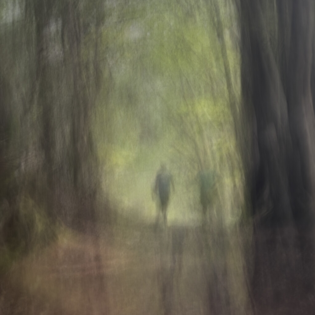 ICM walking in the woods by callymazoo