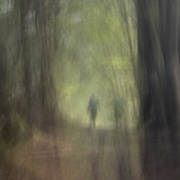 14th Sep 2022 - ICM walking in the woods