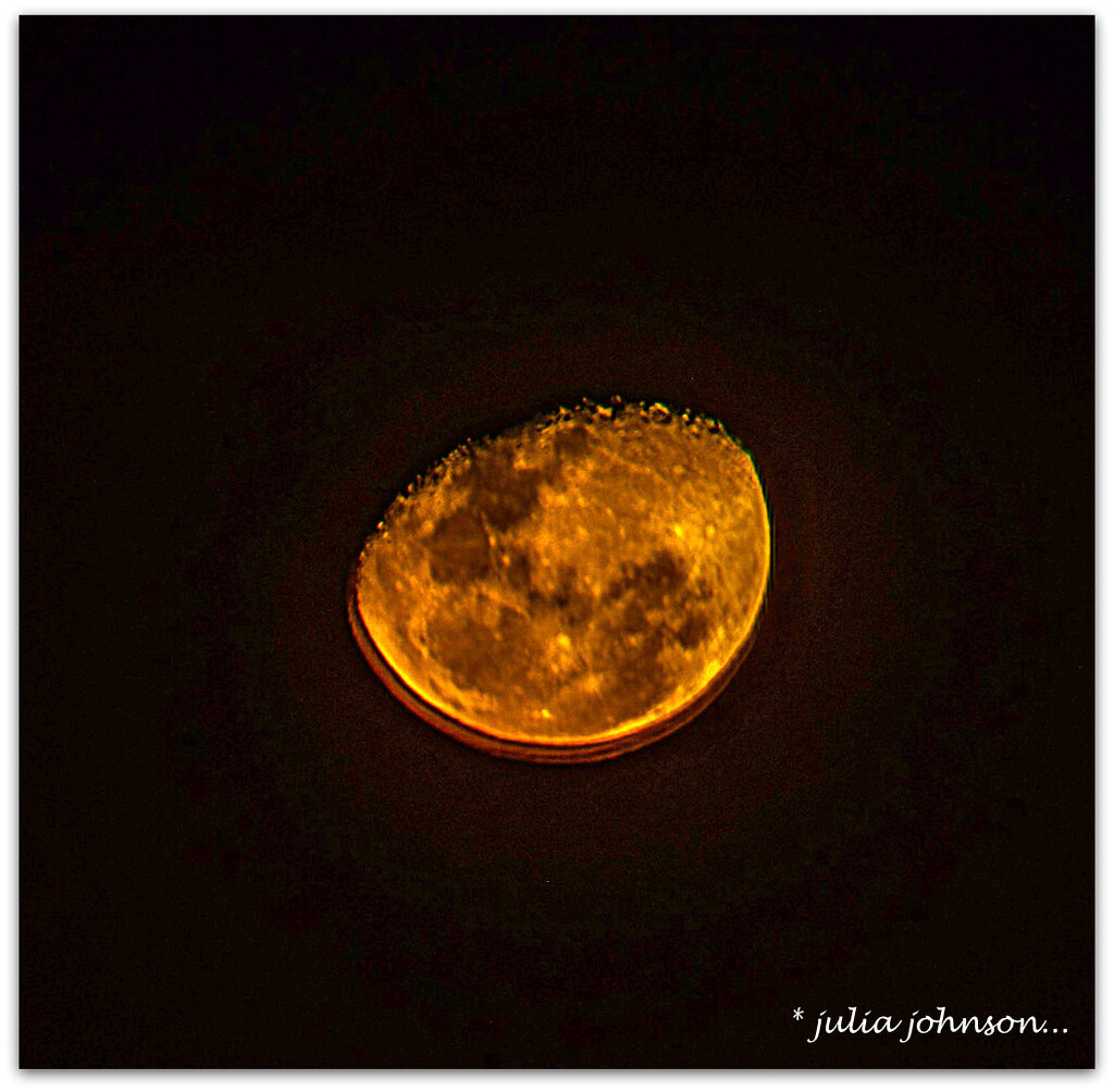 Golden Moon  by julzmaioro