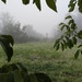 Утренний туман  by natalytry