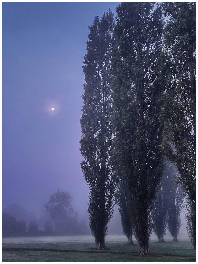 Moon light in the mist by moonbi