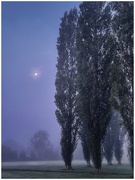 15th Sep 2022 - Moon light in the mist