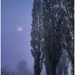 Moon light in the mist by moonbi