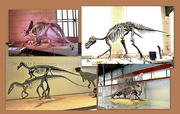 16th Sep 2022 - DINOSAURS. WHAT MORE?