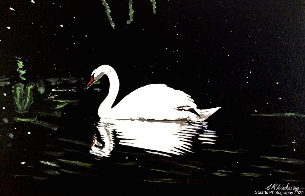 On dark waters painting  by stuart46
