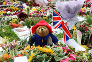 15th Sep 2022 - Floral (and Bear) Tribute