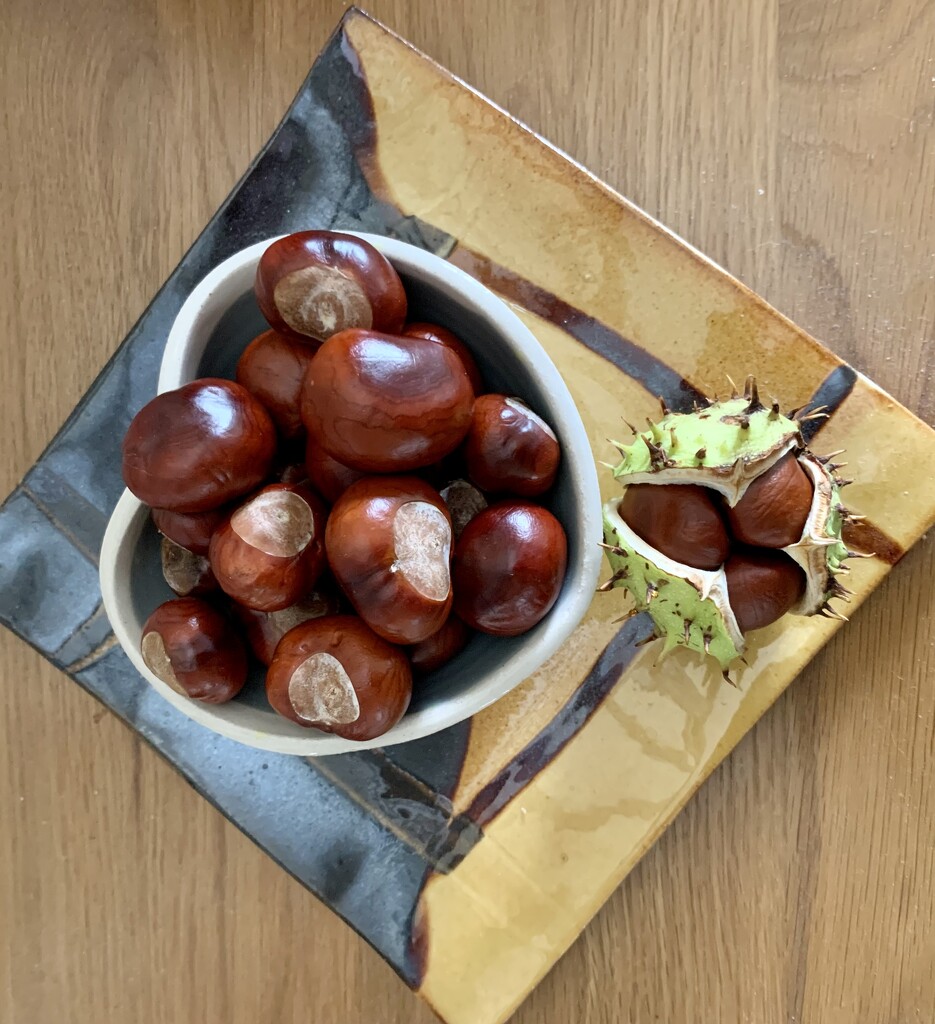 Conkers in a bowl by pamknowler