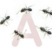 Selection A is for Ant by dkbarnett