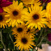 Sunflowers by mdaskin