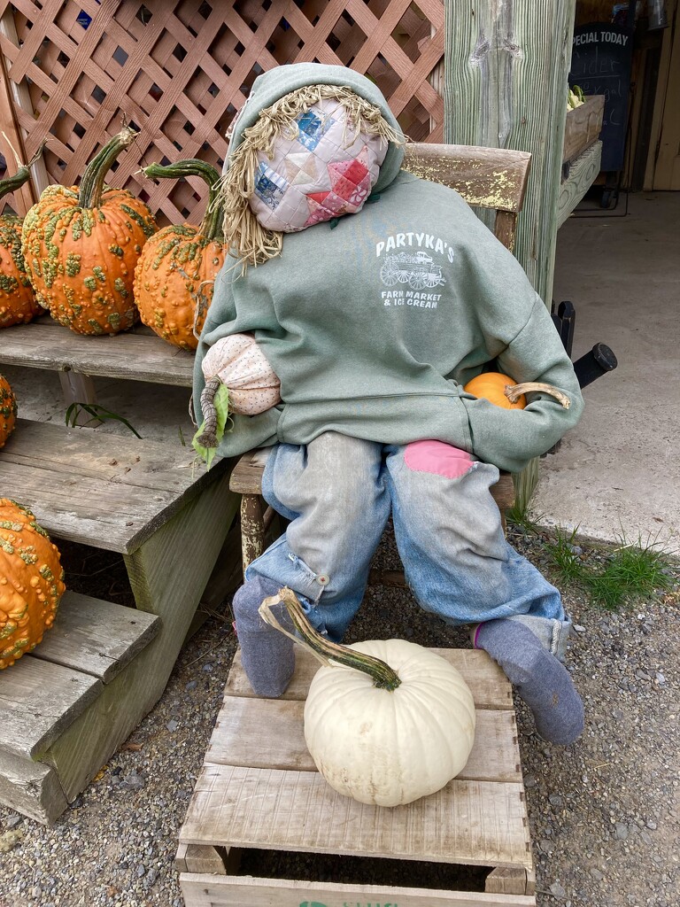 258-365 scarecrow  by slaabs