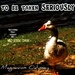 Good For the Goose by grammyn