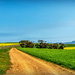 The colour of our farm roads by ludwigsdiana