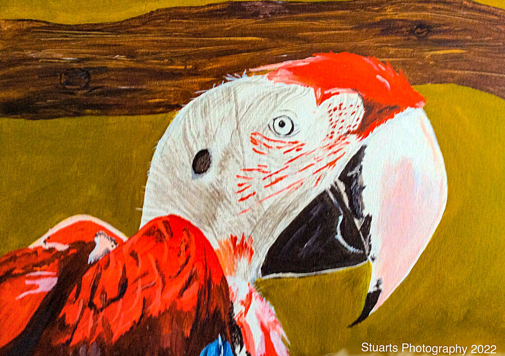 Parrots head painting  by stuart46