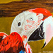 Parrots head painting  by stuart46