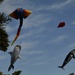 kite festival by mirroroflife
