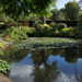 Ness botanic gardens nf12 by busylady