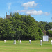 A cricket match in Whittle-le-Woods  by marianj