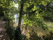 18th Sep 2022 - along the River Itchen