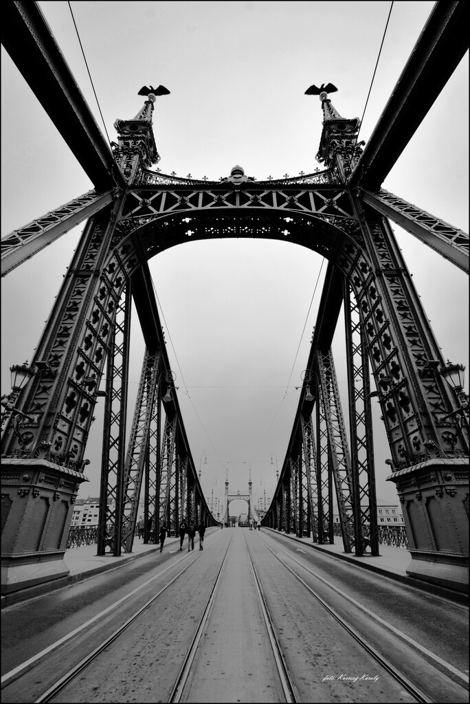 The Liberty Bridge in Budapest by kork