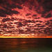 Sunrise over Doubtful Bay on 365 Project