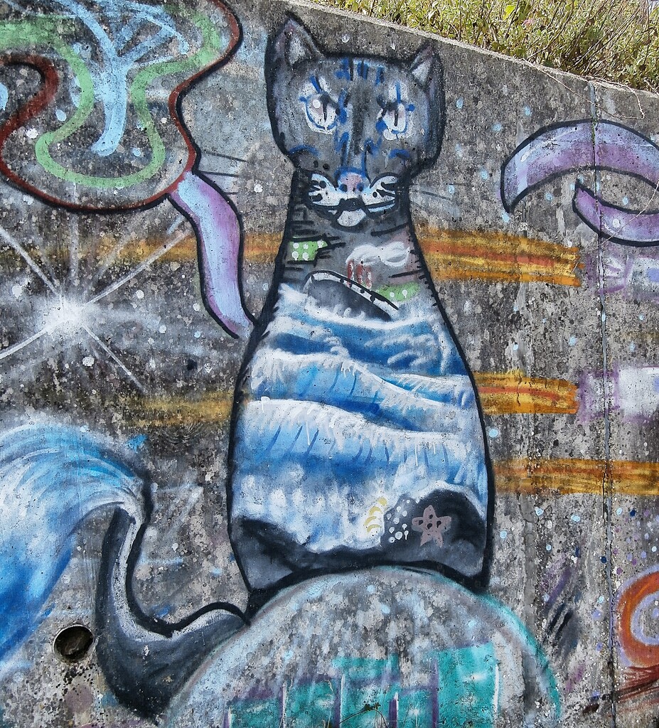 Graffiti Kitty....... by cutekitty