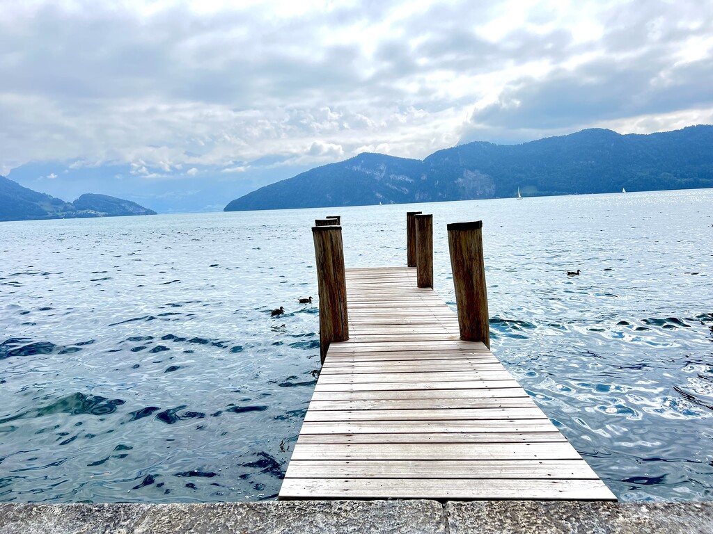 Lake Lucerne  by rensala