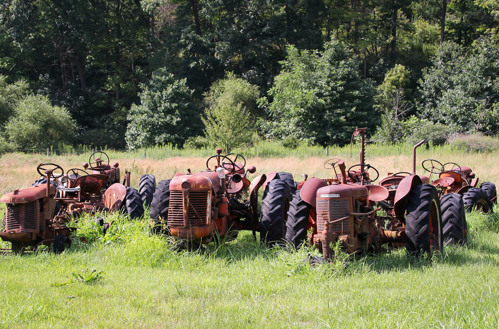 Anyone need a tractor by mittens